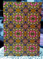 کاشی ناصری